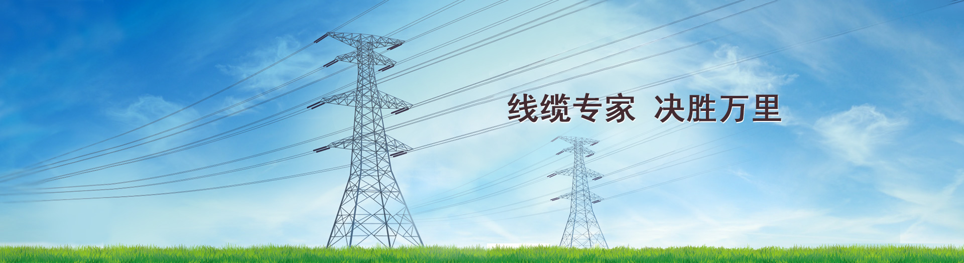 线缆专家 决胜万里